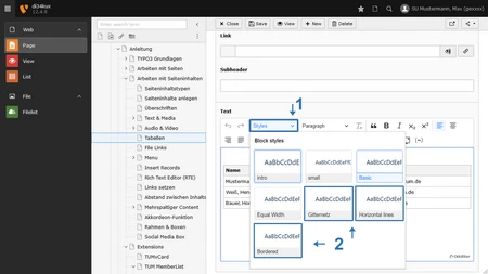 Screenshot: Styles
