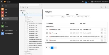 Screenshot: Recycler