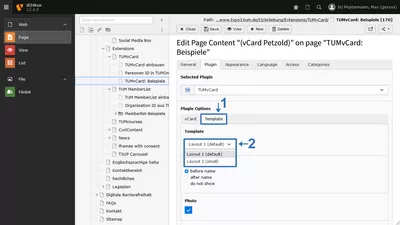 Bild 3: Plugin Layout auswählen