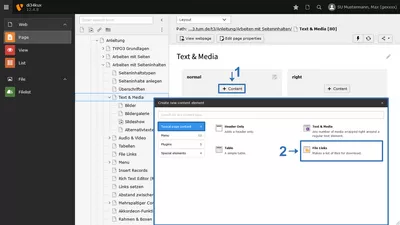 Bild 1: Inhaltstelement "File Links" anlegen